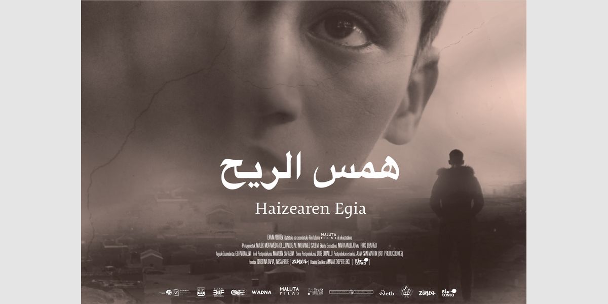 Haizearen-egia